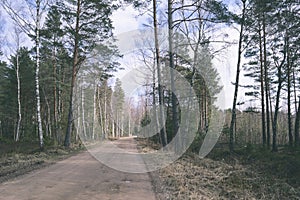 country road in forest - vintage old look