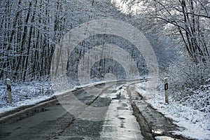 Country road through a forest in winter, danger on the slippery wet and freezing asphalt, traffic and transportation concept, copy