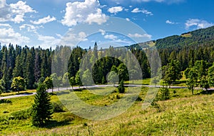 Country road through forested hillside