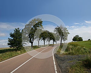 Country road in the german Harz mountains