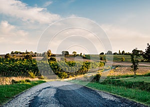 Country road in Gers, France