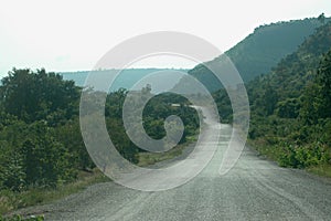 Country road through Ghanian Bush