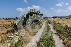 A country road goes into the horizon against the blue sky.