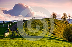Country road through grassy hill at sunset