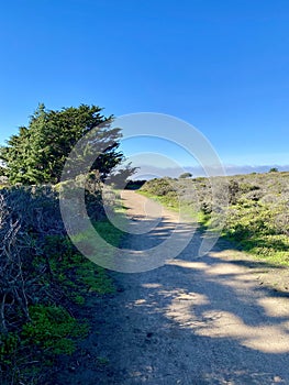 Country Road Gravel Nature Trail Green shrubs