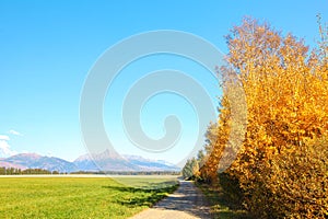 Country road with green field on one side and yellow autumn coloured trees on other, mount Krivan Slovak symbol clear sky