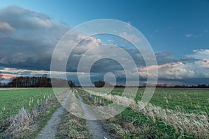 Country road through green fields and scenic clouds at the sky