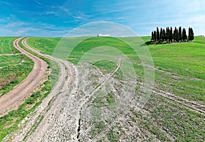 A country road through green grassy fields with isolated cypress trees on the rolling hills under blue sunny sky