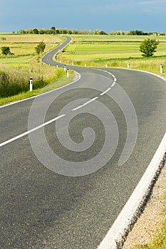 Country road in green meadow