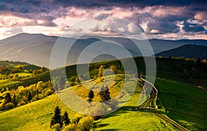 Country road through green rolling hills at sunset