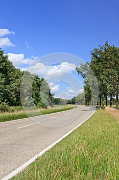 Country road in a green summery environment, Brabant, Netherlands