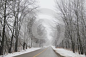 Country road with hibernating trees in winter