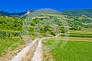 Country road in Kalnik mountain landscape