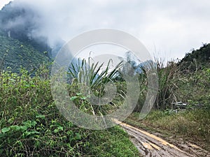 country road in karst mountain in Yangshuo