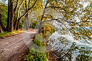 Country Road by the Lake... Beautiful Magical Nature Autumn Sce