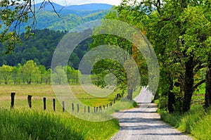 Country road landscape