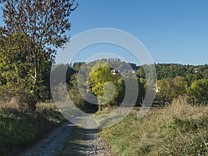 country road at late summer rural landscape with green meadow , trees , forest and clear blue sky, natural background