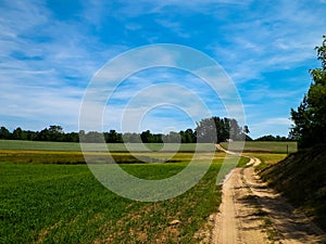 Country road and meadow in Tuchola Forest, Kashubia Region, Poland