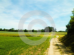 Country road and meadow in Tuchola Forest, Kashubia Region, Poland