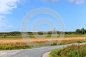 Country road in the middle of a field. Rural landscape.