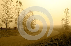 Country road in morning haze.