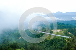 Country road at mountain area with low cloud after rain in Gua Musang, Kelantan, Malaysia