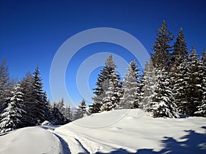 Country road in the mountains, covered with snow