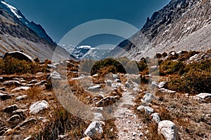 Country road in the mountains. Himalayas. Gangotri, Gaumukh