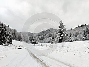 Country road in the mountains during wintertime