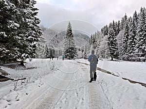 Country road in the mountains during wintertime. Hiker in the forest