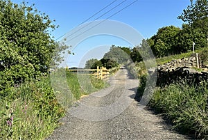 Country road, with plants, and dry stone walls near, Cliffe Lane, Thornton, UK