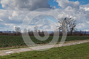 Country road with puddles