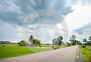 Country road with rice field in cloudy day