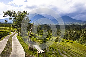 Country road at rice fields of Jatiluwih in southeast Bali