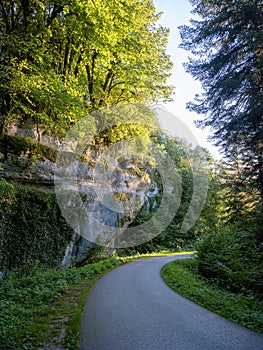 country road and rock in forest of french jura