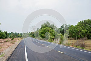 Country road running through tree alley.