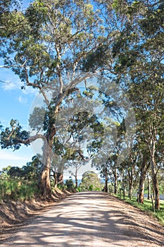 Country road in rural australia