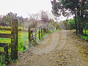 Country road photo