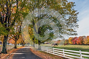 Country Road in rural Maryland during Autumn photo