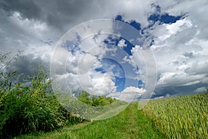 Country road and scenic clouds. Landscape.