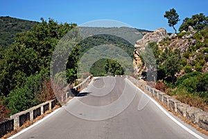 Country road, Sierra de los Alcornocales, Spain. photo