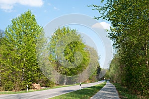 Country road through springlike forest, bike path beside, green trees and blue sky