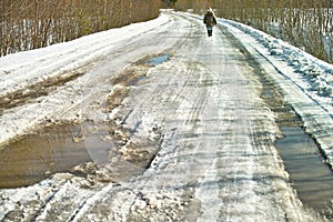 country road in springtime