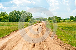 Country road in summer