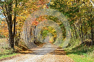 Country road on a sunny Autumn day