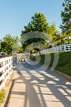 Country road surrounded the horse farms with evening fence shado