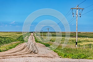 Country Road and Surrounding Farmland and Series of Telephone Poles on Summer Day