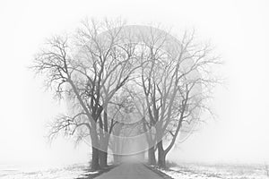 Country road to nowhere. Mysterious foggy road.