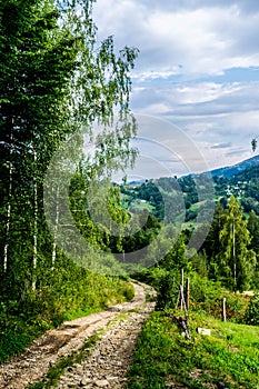 A country road to the Ukrainian village