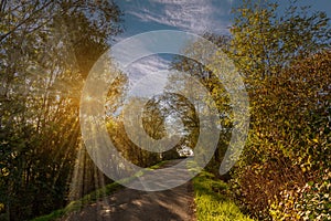 Country road between trees with autumn colors